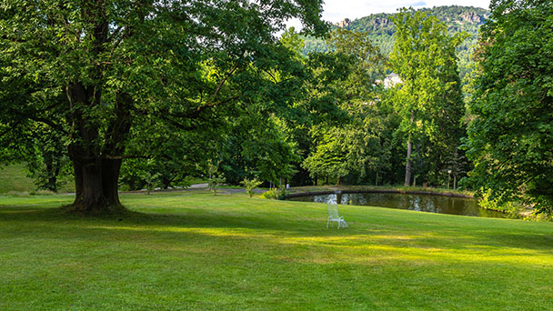 Philharmonie erstmals auf der Liegewiese am Solmssee – Klassikpicknick schon heute 