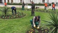 Neue Farben in Baden-Baden – Sommerblumen in Parkanlagen gepflanzt