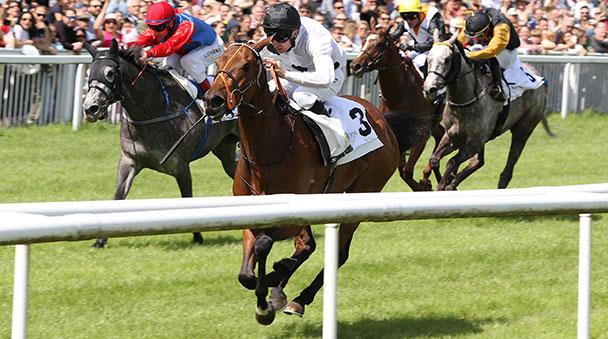 Internationale Hochkaräter heute in Iffezheim – „Ladies Day“ beim Start ins Finalwochenende der Großen Woche