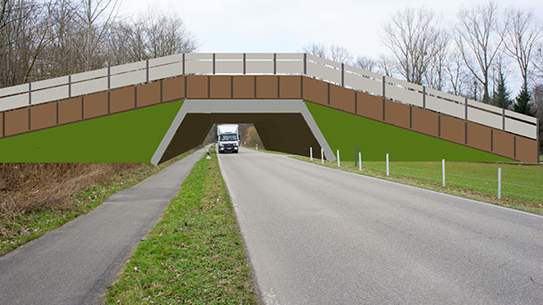 „Ganz massive Eingriffe in die sensible Landschaft, die Natur“ - Infoveranstaltung: „Ostanbindung des Baden-Airpark an die A5“