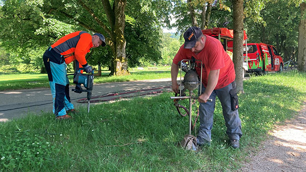 Baden-Badener Bäumen wird geholfen – „Geschwächte Bäume in Lichtentaler Allee, Goetheplatz, Klosterwiese“