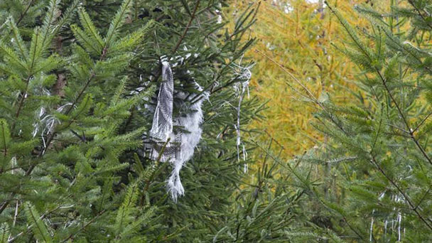 Bürgerinitiative Windkraftfreies Grobbachtal sieht Gefahren – Karl Maier: „Bedenkliche Mengen Mikroplastik und gesundheitsgefährdende Verbundstoffe“
