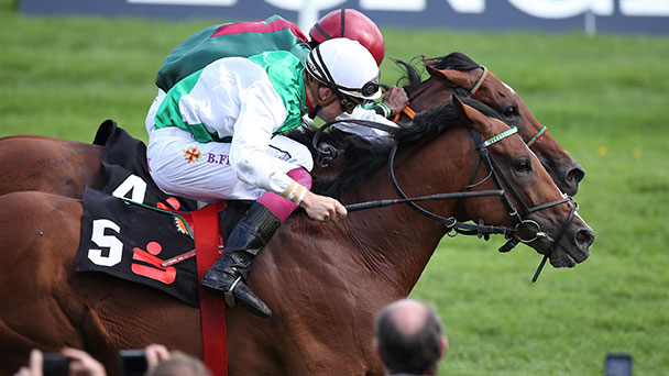 Countdown in Iffezheim – Nur noch zwei Tage bis zur Großen Woche – Spitzenpferde, Ponyrennen und ein Weltstar im Sattel zum Auftakt am Samstag