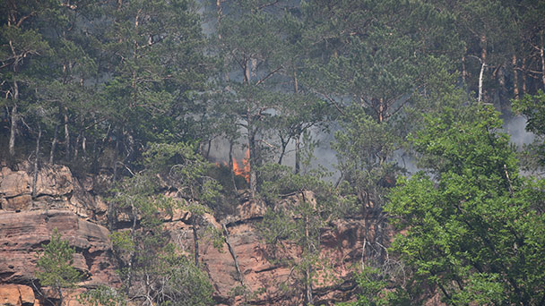 Waldbrandursache in Baden-Baden aufgeklärt – 13-Jähriger „mit Feuerzeug getrocknete Äste und Blätter entzündet“