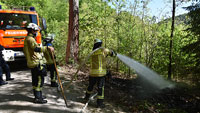 Feuer beim Waldsee gestern Mittag – Baden-Badener Feuerwehr schnell zur Stelle