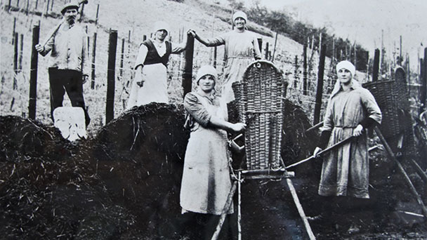 Baden-Badener Rebland-Museum ist ein Besuch wert – Einblicke zum historischen Weinbau und zu Kirchen, Schlössern und ländlichem Alltag im Rebland 