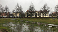 Rastatter Rathaus warnt vor Spaziergängen - Kritische Situationen durch Dauerregen und Hochwasser - „Dämme am Rhein nicht betreten!“