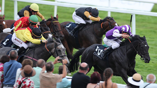 Neuer Termin für „Coolmore Stud Baden-Baden Cup“ – Große Woche wegen Corona erst vom 5. bis 13. September