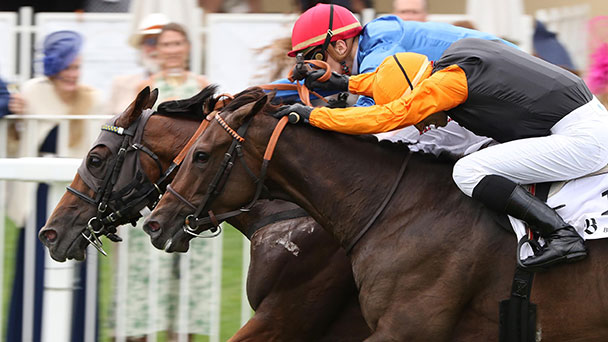 Ein bisschen Regen, aber große Begeisterung in Iffezheim – Goldene Peitsche bleibt in Deutschland