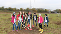 Neue Zwetschgenbäume in der Zwetschgenstadt – Als Naturgut erhalten – „Plant for the planet“