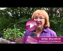 Im hippen Baden-Baden wird es lauter | Antje Ghandtchi