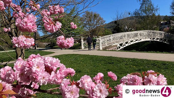 Ein Gedicht zum Wochenende – „Das ist die Sehnsucht“ von Rainer Maria Rilke