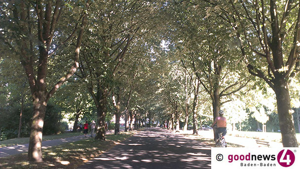 Fahrradfahren kann gefährlich sein – Rathaus rät: Helm auf beim Radeln