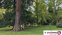 Wenn die Baden-Badener Bäume erzählen könnten – Botanische Führung zur „Sprache der Bäume“ 