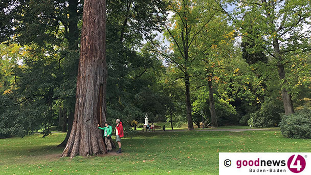 Wenn die Baden-Badener Bäume erzählen könnten – Botanische Führung zur „Sprache der Bäume“ Wenn die Baden-Badener Bäume erzählen könnten – Botanische Führung zur „Sprache der Bäume“