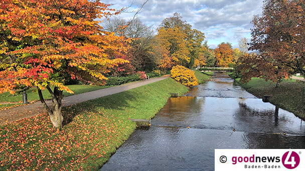 Nächste botanische Führung am 8. Oktober – „Baumgeschichten“ in der Lichtentaler Allee