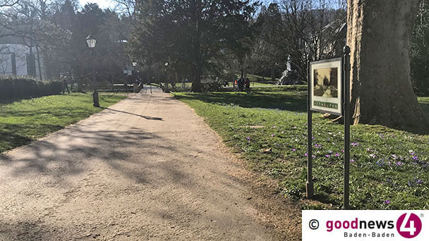 Buche in der Lichtentaler Allee muss sterben – Fußwege zwischen Stadtmuseum und Museum Frieder Burda gesperrt 