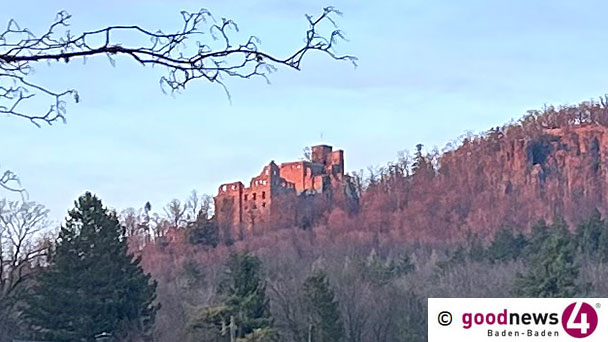 Frühe Ernte in Baden-Baden – Holzerntearbeiten beim „Alten Schloß“ Frühe Ernte in Baden-Baden – Holzerntearbeiten beim „Alten Schloß“