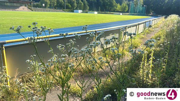 Das verwahrloste Baden-Badener Aumatt-Stadion – Nicht nur den Politikern anzulasten 