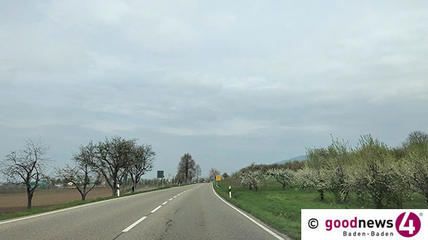 Zwei verletzte Polizisten in Sinzheim - Kratzen und Beißen auf dem Fahrradweg