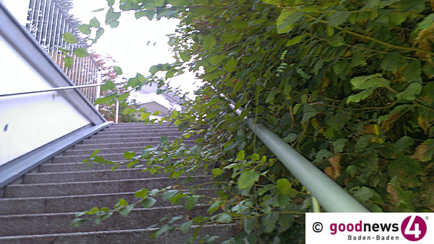 Hecken und Bäume werden zur Gefahr - Besonders gefährlich für Müllfahrzeuge und hinten mitfahrende Müllwerker - Jetzt Äste zurückschneiden