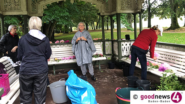 Prächtige Blumensträuße zu kaufen in der Lichtentaler Allee – Dahlien-Freunde verkaufen auch Knollen Prächtige Blumensträuße zu kaufen in der Lichtentaler Allee – Dahlien-Freunde verkaufen auch Knollen