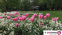 Führung vom Tulpengarten zum Obstgut Leisberg