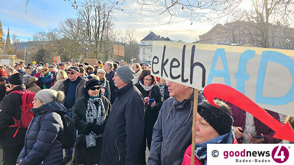 Landtage rufen „zur Wahrung der Demokratie auf“ – „Die dunkelsten Stunden unserer Geschichte“