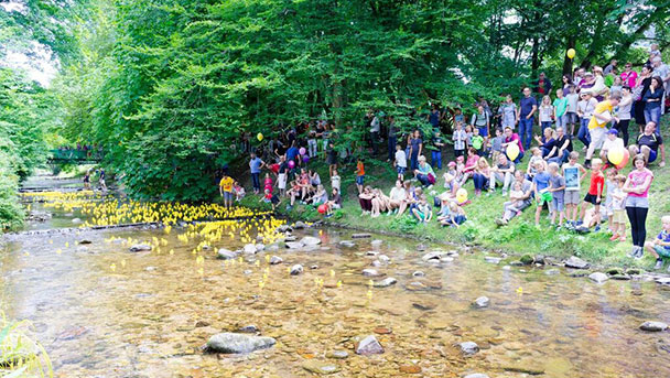 Enten-Rennen auf der Oos - 2.500 Lose für guten Zweck 
