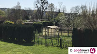 Baden-Badener Gärten warten auf den Frühling – Abfallsammlung in der Innenstadt – Papiersäcke für kleine Gartenabfälle 1,50 Euro