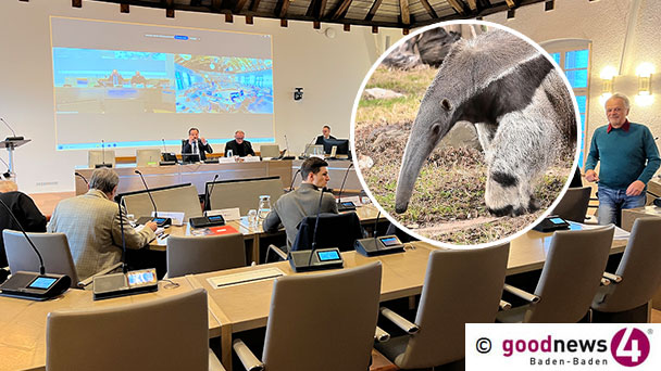 Ein Ameisenbär für Baden-Baden – Empfehlungen für den Gemeinderat