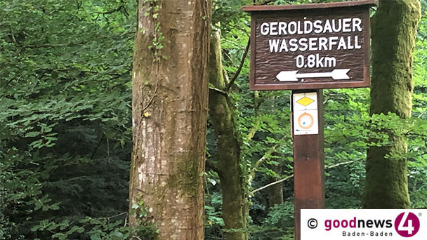 Rhododendrenzeit in Baden-Baden vorbei – Parken nicht erlaubt – Baken entlang B500/Malschbacher Straße abgebaut