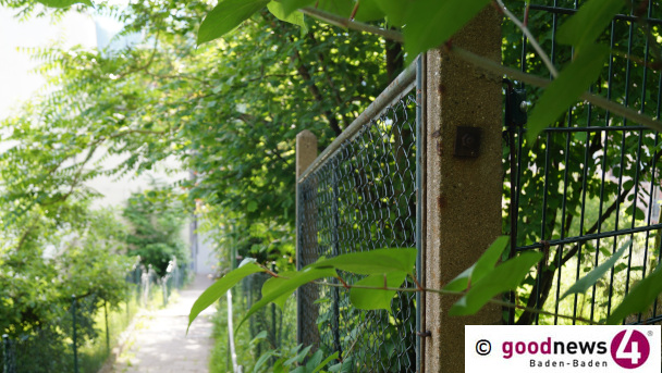Zugewachsene Straßen und Wege in Baden-Baden - Sicherheit des Verkehrs beeinträchtigt