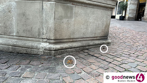 In Baden-Baden sollen Mensch und Hund gute Freunde bleiben – FBB fordert Erhöhung der Hundesteuer In Baden-Baden sollen Mensch und Hund gute Freunde bleiben – FBB fordert Erhöhung der Hundesteuer