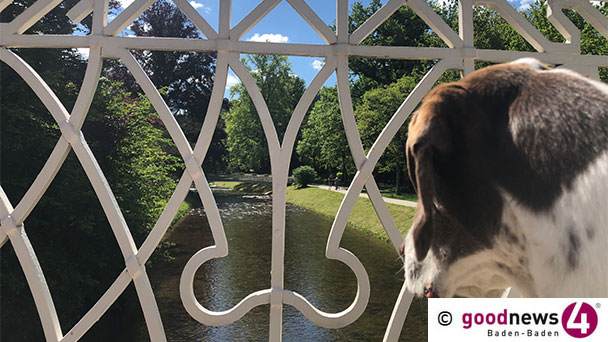 Wer denkt in Baden-Baden an das Wohl der Tiere? – Stadtrat Sven Bohnert fordert ehrenamtlichen Tierschutzbeauftragten