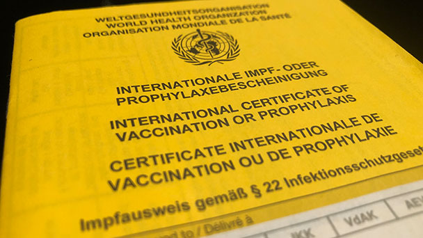 Novavax-Impfstoff für alle – Stadt Baden-Baden schaltet Termine frei