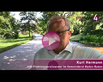 AfD-Fraktionschef Kurt Hermann im „goodnews4 Sommergespräch“ 