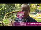 Notoperation am berühmtesten Baum in Baden-Baden und der Stresssommer 2026 | Markus Brunsing Notoperation am berühmtesten Baum in Baden-Baden und der Stresssommer 2026 | Markus Brunsing