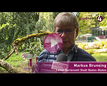 Notoperation am berühmtesten Baum in Baden-Baden und der Stresssommer 2026 | Markus Brunsing