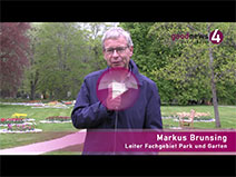 Das Blumenmeer in Baden-Baden und die mühsame Handarbeit | Markus Brunsing