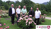 Konrad Adenauer war der berühmteste Fan der Baden-Badener Rosen - Markus Brunsing lädt die Baden-Badener in den Rosengarten - Rosenblüte auf dem Höhepunkt
