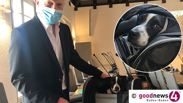 AfD-Stadtrat Martin Kühne lüftet Geheimnis – Versteckter Gast bei Baden-Badener Gemeinderatssitzungen