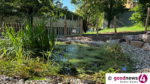 Der „kleine Schwanzlurch“ und eine abenteuerliche Umzugsaktion in Baden-Baden – Ein neues Zuhause beim Markgraf-Ludwig-Gymnasium  Der „kleine Schwanzlurch“ und eine abenteuerliche Umzugsaktion in Baden-Baden – Ein neues Zuhause beim Markgraf-Ludwig-Gymnasium