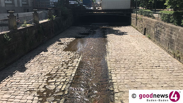 Niedrigwasserstände Belastung für Tiere und Pflanzen – Rathaus appelliert an Gartenbesitzer