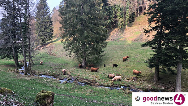 Wanderung rund um das westliche Oostal – „Stöcke sind hilfreich“