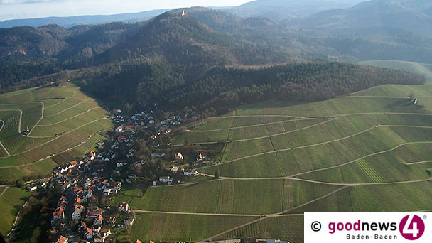 Gespräch zur Geschichte des Baden-Badener Reblands bei einem Glas Wein – Historischer Verein lädt ein