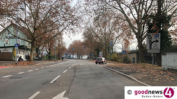 Fünf Tage lang werden Platanen in der Rheinstraße gepflegt – Kronenaufbau und Wuchs optimieren Fünf Tage lang werden Platanen in der Rheinstraße gepflegt – Kronenaufbau und Wuchs optimieren