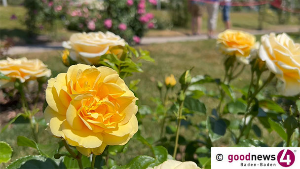 Baden-Badener Rosengarten schließt schon 18 Uhr – Vorbereitung auf Konzerte