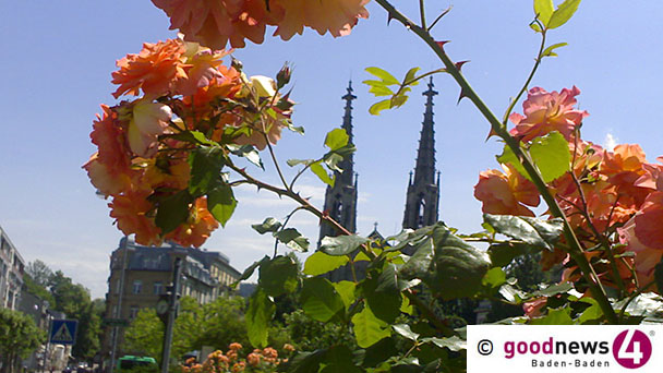 Rote Rosen, rote Rosen im Herbst – Referat zu „Charmante Duftrosen“ Rote Rosen, rote Rosen im Herbst – Referat zu „Charmante Duftrosen“