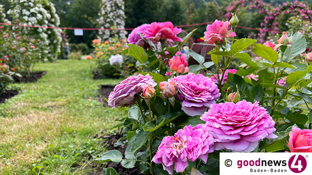 Il y a deux choses – Vortrag in der Rosenstadt Baden-Baden